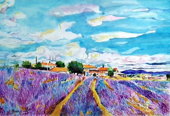 LAVENDER FIELD