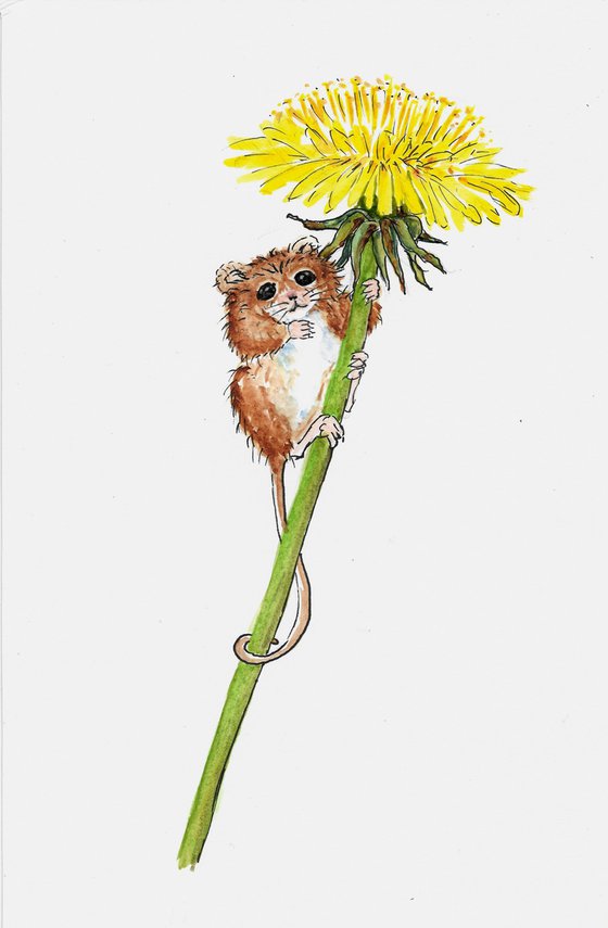 Mouse and Dandelion Flower