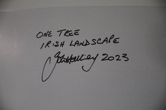 One Tree, Irish Landscape 2023
