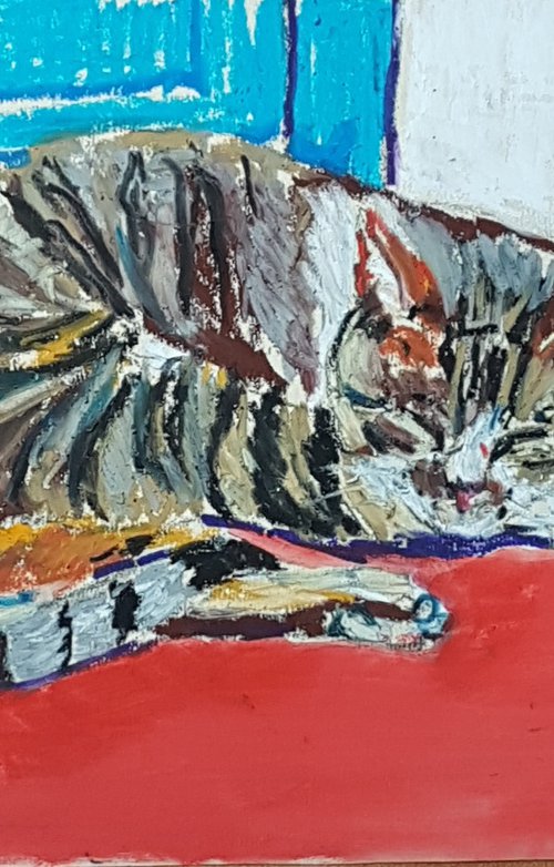 Cat nap by Silvia Flores Vitiello