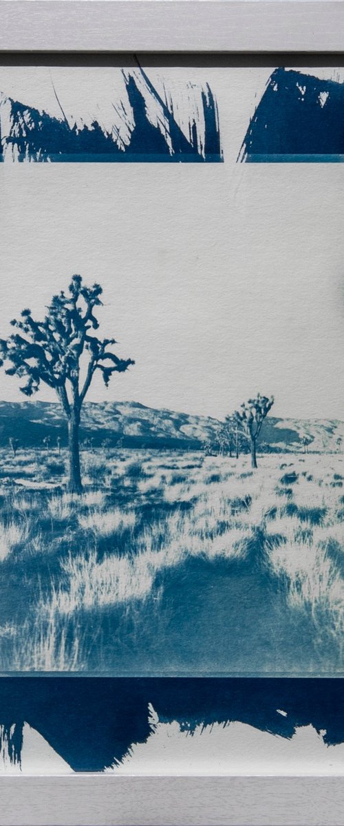 Abandoned Mojave, Cyanotype by Mark Hannah