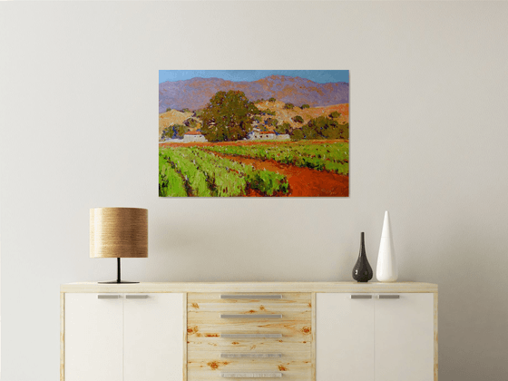 Southern California Vineyards