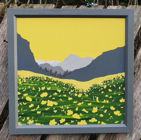 Alpine Meadow, The Lake District