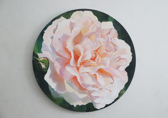 Rose La Perla. Round Flower Acrylic Painting