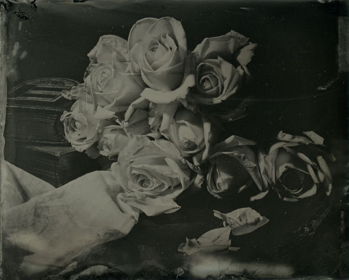 Photorealistic Botanical Photograph By Nicolas Laborie, 16 X 12", Prose - The Rose Garden Of Secrets, Original Artwork