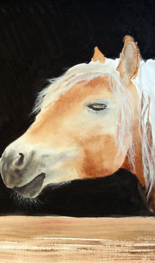 Horse IX / Original Painting by Salana Art