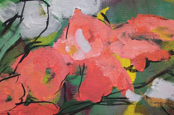 Pink gladioluses