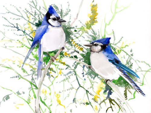 Blue Jay Birds by Suren Nersisyan