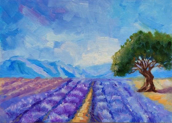 Lavender Field painting