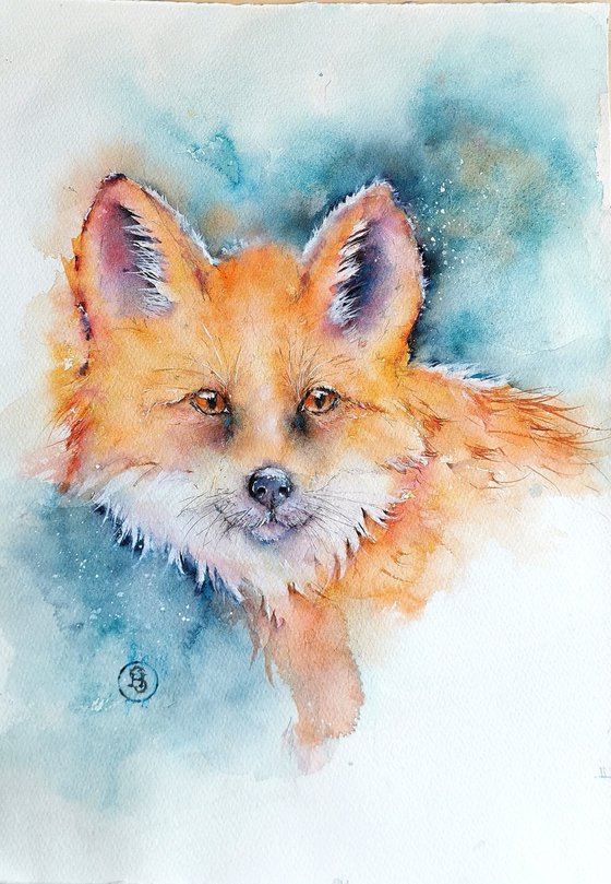 Red Fox