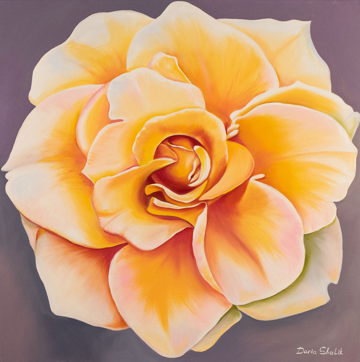 A peach rose named Adele by Daria Shalik