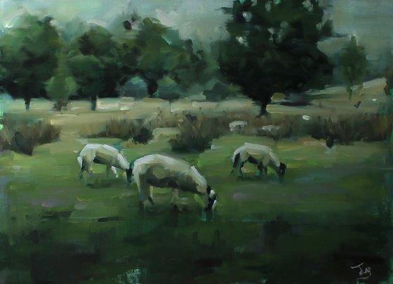 Flock At Rest