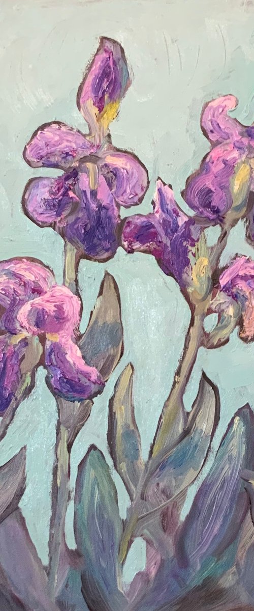 Irises by Jean Perrett
