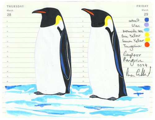 Birds of Antarctica: Emperor Penguin by Fran Giffard