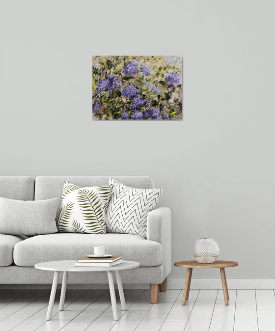 In the Spring Sunshine