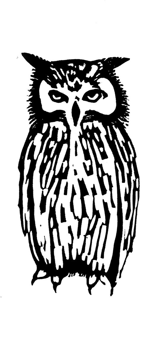 Owl by Drusilla  Cole