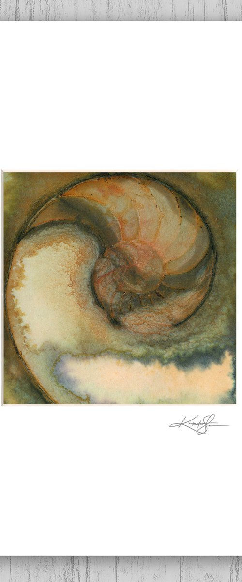 Matted Nautilus Shell 9 - Painting by Kathy Morton Stanion by Kathy Morton Stanion