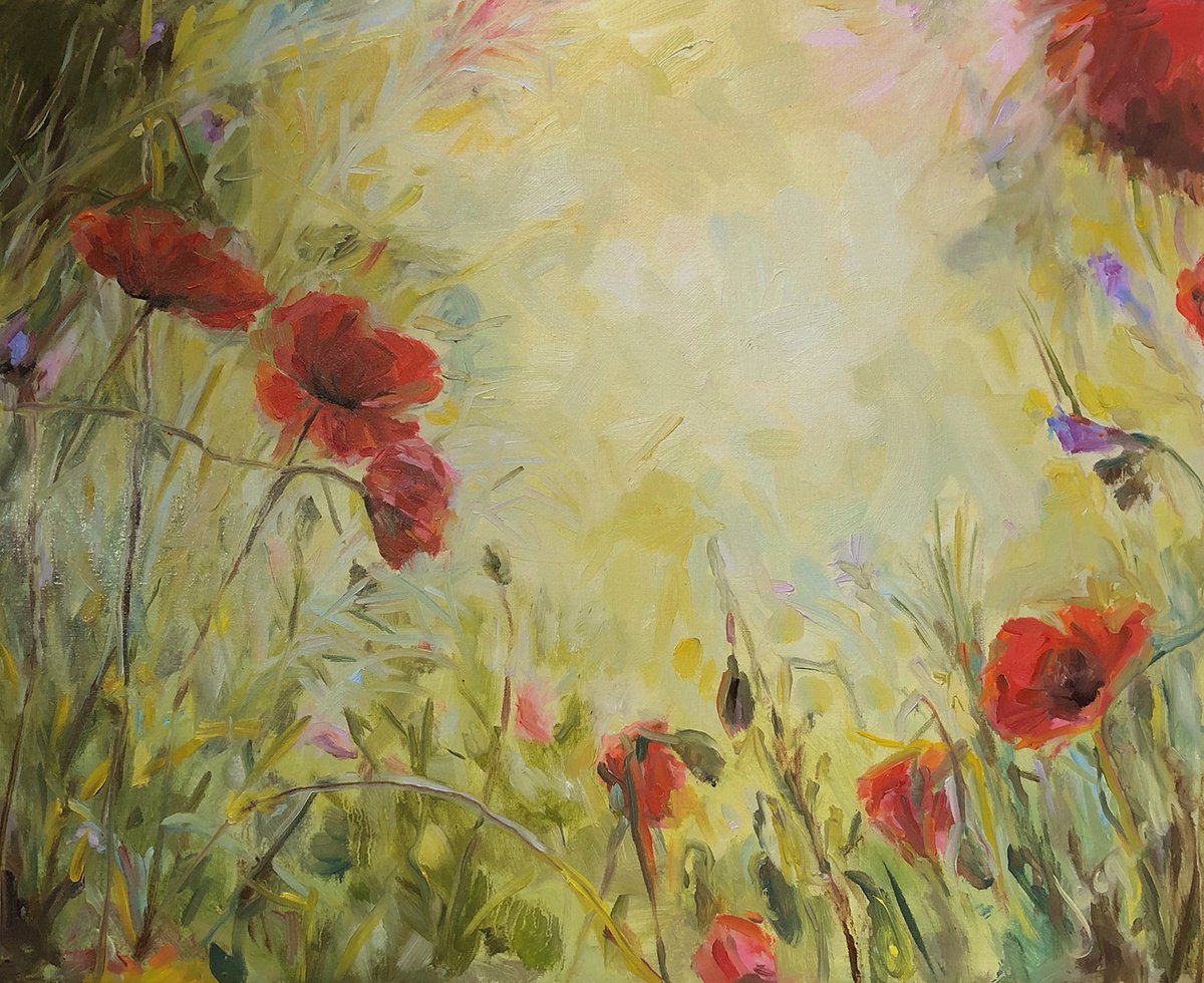 Poppies in meadow by Jacqualine Zonneveld