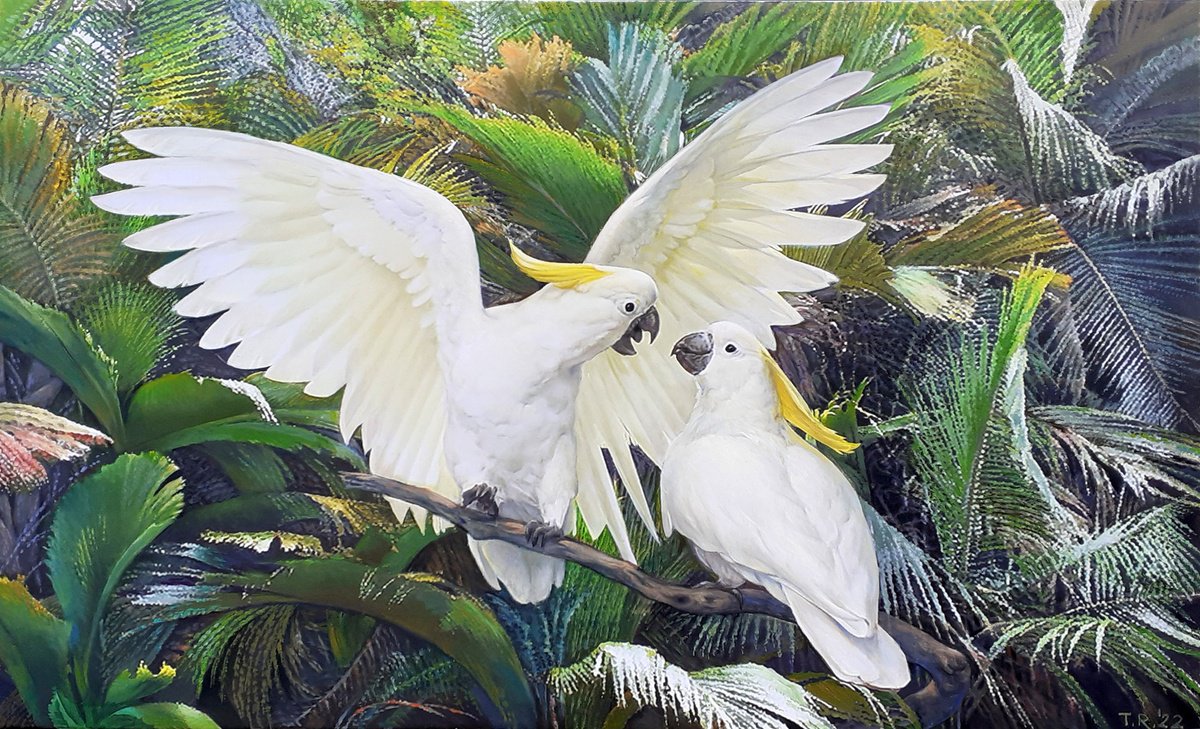 Impressionistic Animal Oil Painting By Tatiana Rezvaya, 50 X 34", Cockatoos, Original Artwork
