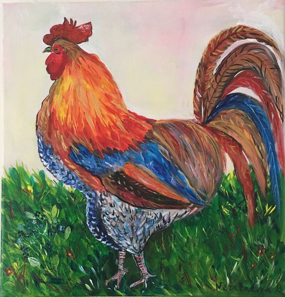 Rooster