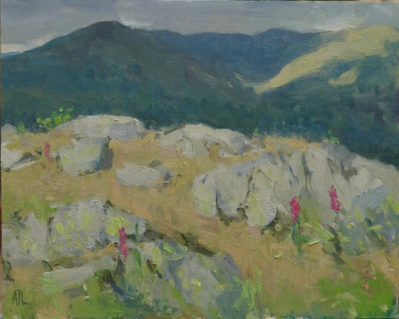 Before the Rain, Todd Crag