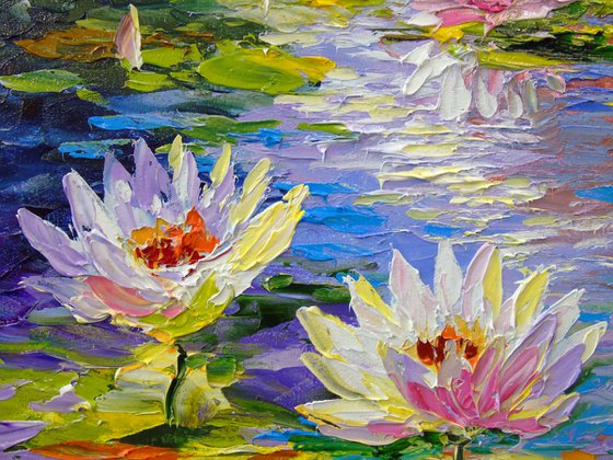 Water lilies in the pond