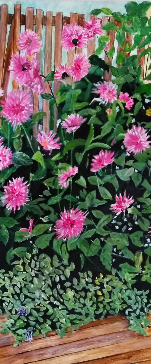 Flowers pink dahlias by Isabelle Lucas