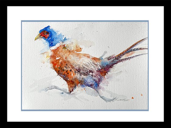 Run for it _Running Pheasant