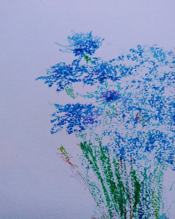 Cornflowers. Pastel drawing on paper.