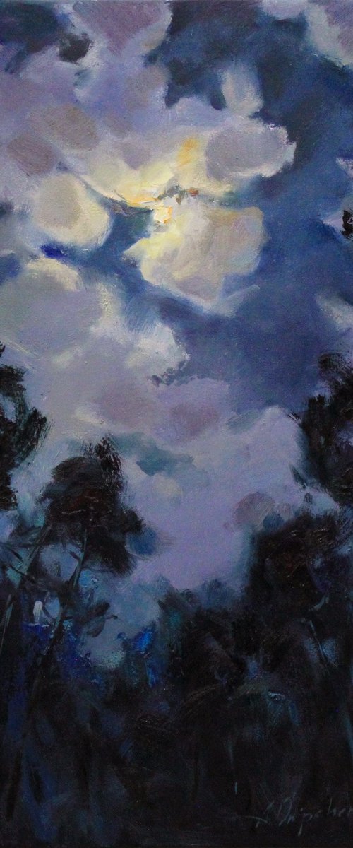 "Moon night" by Alisa Onipchenko-Cherniakovska