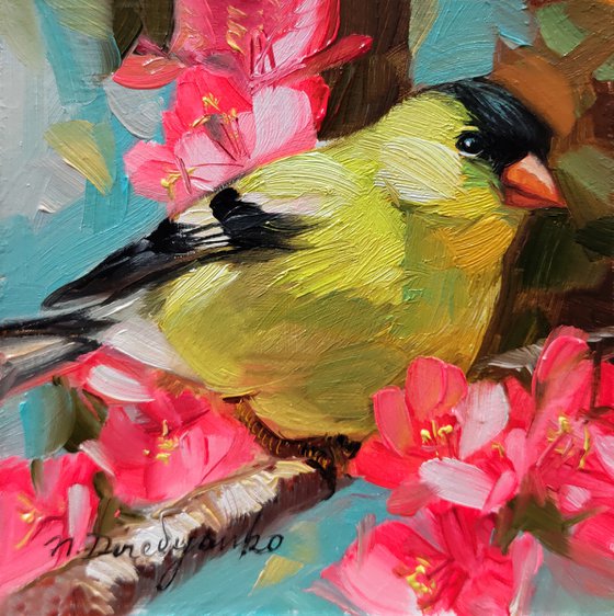 Original bird painting 4x4 in oil, Painting yellow bird on blossom branch, Bird art painting framed, Small painting of birds for bird lovers