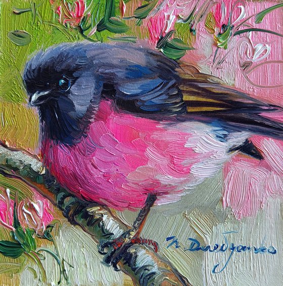 Pink Robin bird painting original oil iframed, Miniature bird painting small art