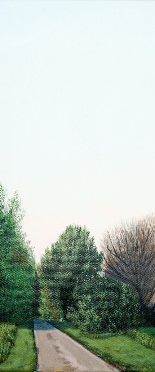 Lane, Spring Evening. by Christopher Witchall