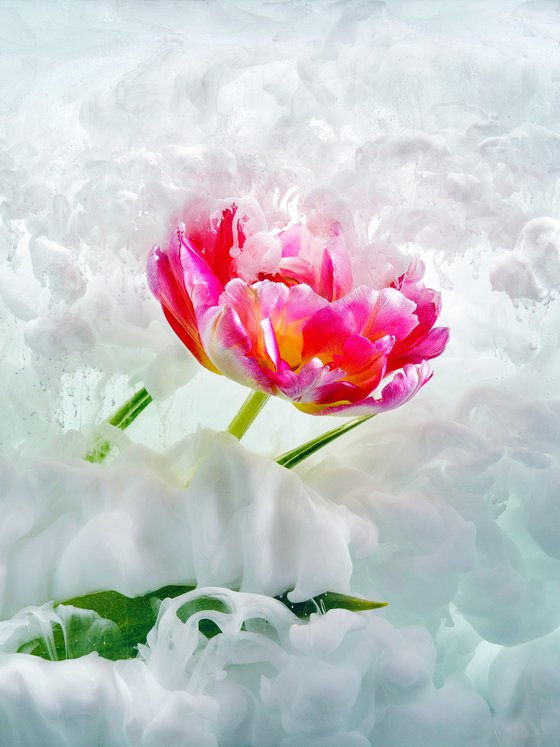 Flora I