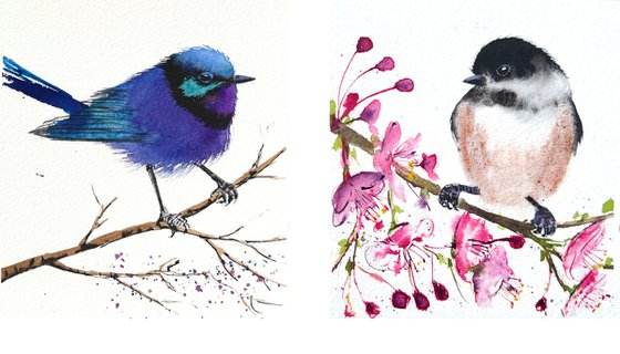 Set of 2 Ultramarine Fairywren