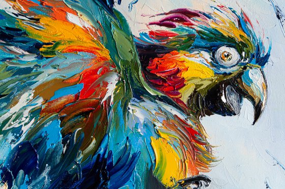 Flying Colors