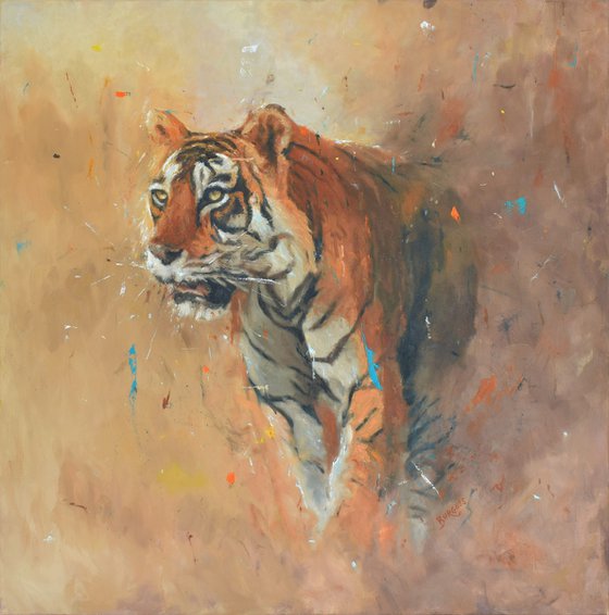 Morning Hunt -  Large Tiger painting - Oil On Canvas - 100cm x 100cm