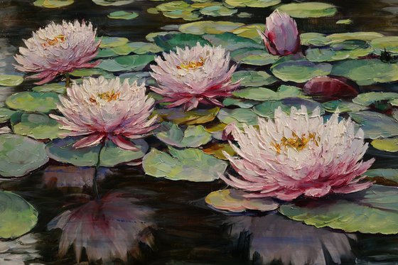 "Pink Lilies on the Pond"
