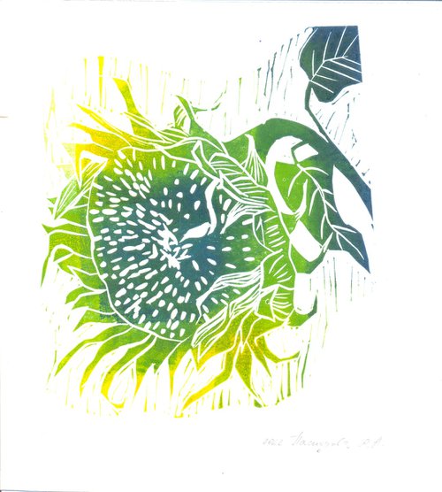 Sunflower linocut by Yuliia Pastukhova
