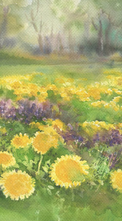 Dandelion field. The little Suns / ORIGINAL watercolor 12,2x9,1in (31x23cm) by Olha Malko