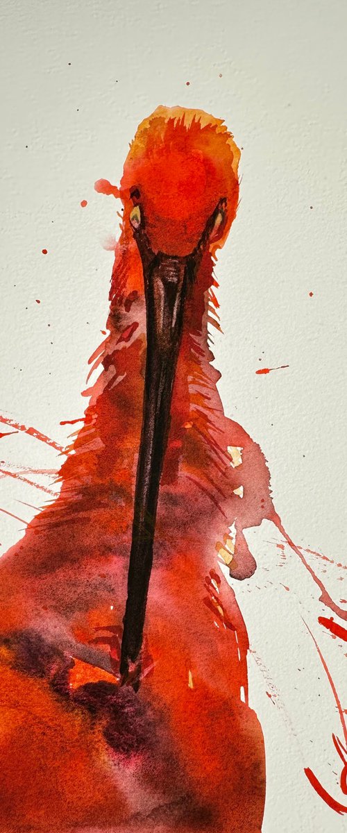Scarlet Ibis 2 by Alla Semenova