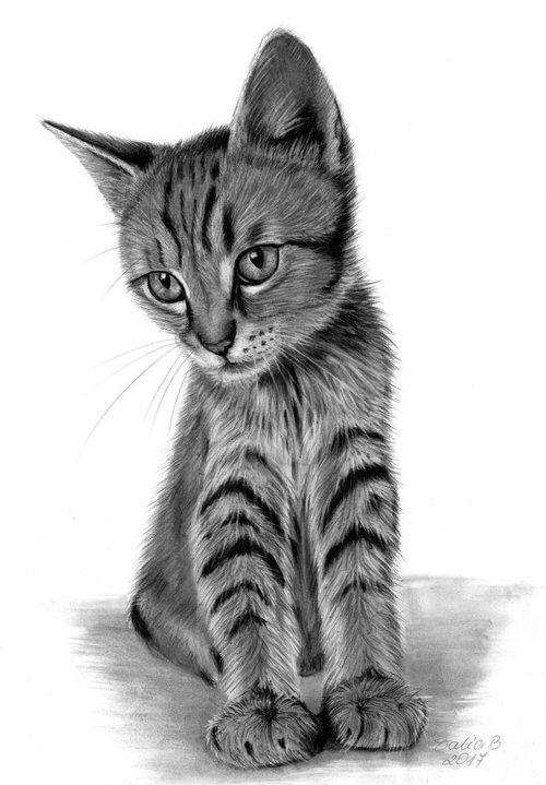 Kitty by Dalia Binkiene
