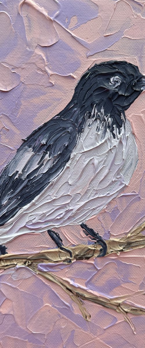 Magpie by Guzaliya Xavier