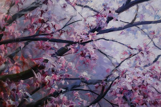 "Bloom"