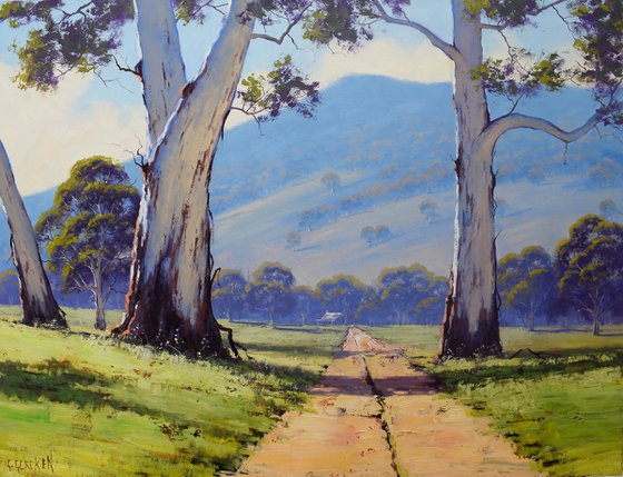 Australian Valley Gum Trees