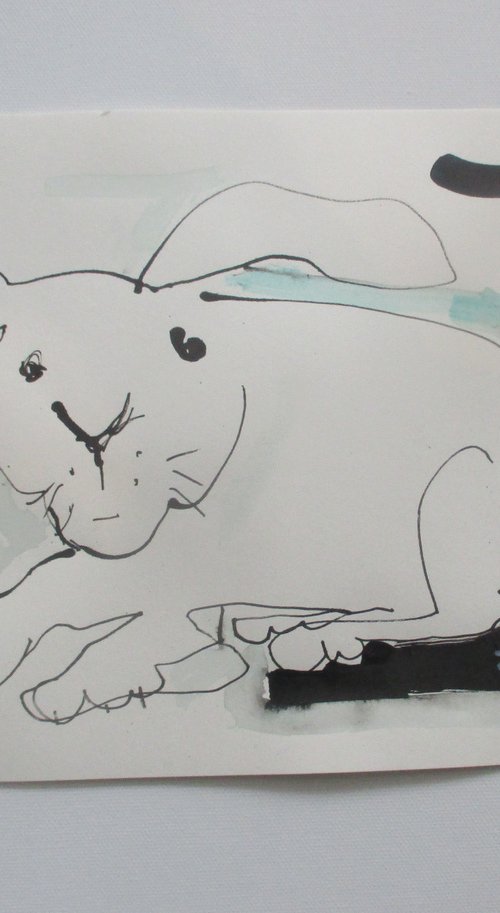 grumpy bunny by Sonja Zeltner-Müller