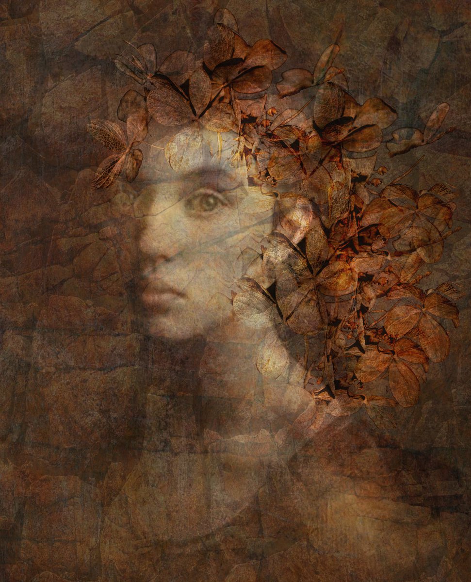 Illustrative Portrait Photograph By Srdjan Jevtic, 35 X 43", Infinitum, Original Artwork