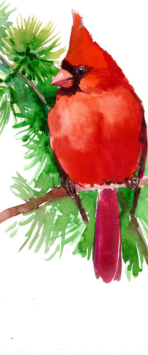 Red Cardinal Bird by Suren Nersisyan