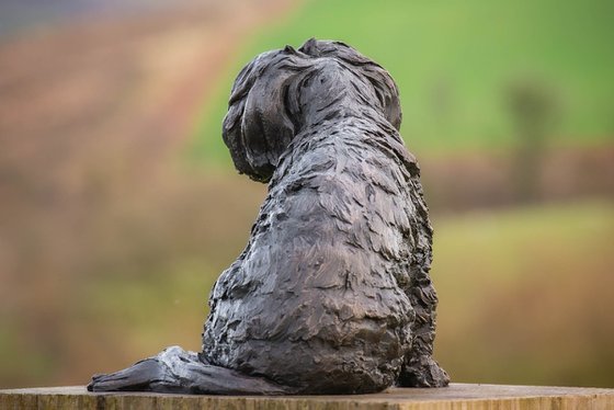 Maltese Terrier 2 Bronze Resin