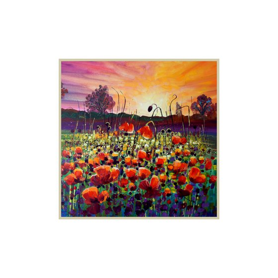 Poppies in the Sunset